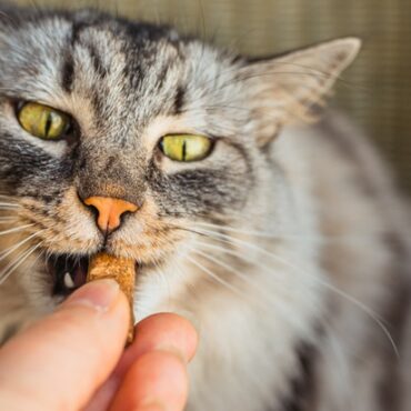 [matched_content] [Keyword]