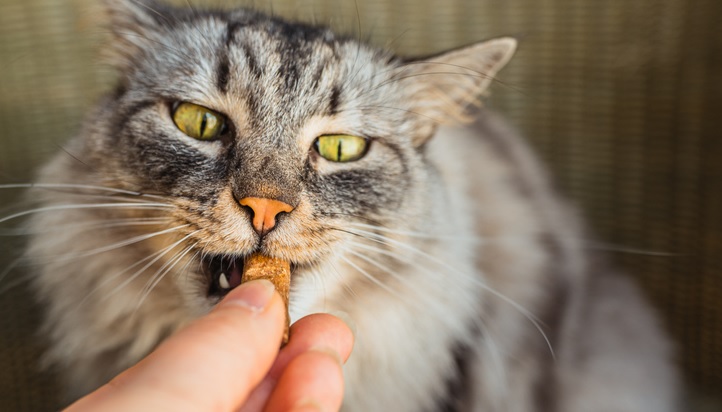 [matched_content] [Keyword]