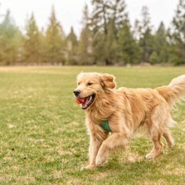 [matched_content] [Keyword]