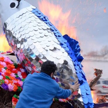 Publicadas las bases del V Concurso Local del Entierro de la Sardina de Tomelloso - SURCO CLM, Diario digital