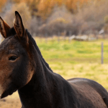 [matched_content] [Keyword]