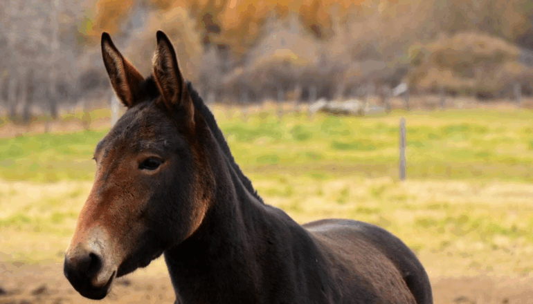 [matched_content] [Keyword]