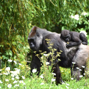 [matched_content] [Keyword]