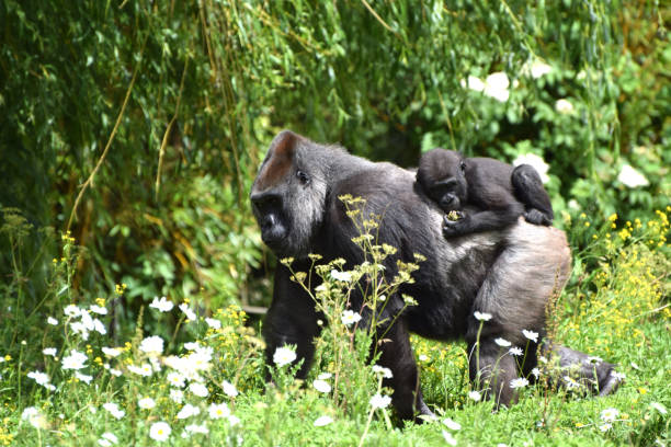 [matched_content] [Keyword]