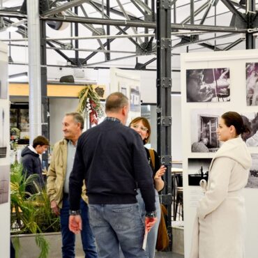 La exposición del colectivo “El Galgo Blanco” ya luce en el Mercado de Abastos de Tomelloso - SURCO CLM, Diario digital